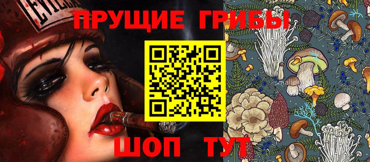 Галлюциногенные грибы GOLDEN TEACHER  Вход с VPN  Новосибирск  Галлюциногенные грибы GOLDEN TEACHER 